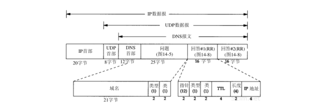 dns-reply-packet.png