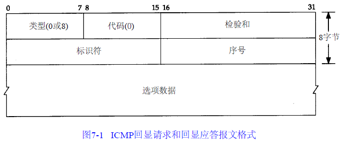 icmp-echo-packet.png