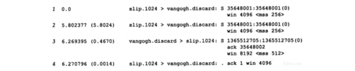 tcp-slip-vangogh-dump-4-lines.png