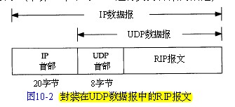 udp-rip.jpg